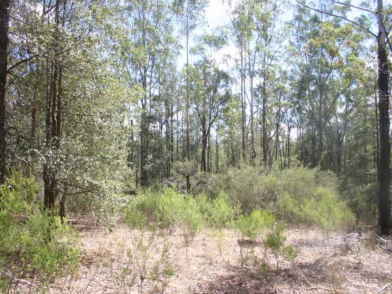 420 Avoca Road, Silverdale NSW 2752