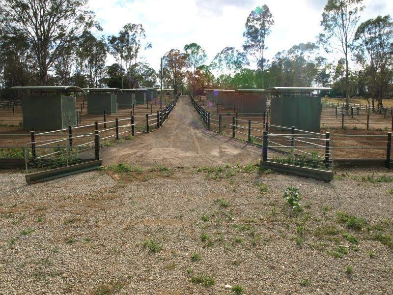 23 Barry Avenue, Catherine Field NSW 2557