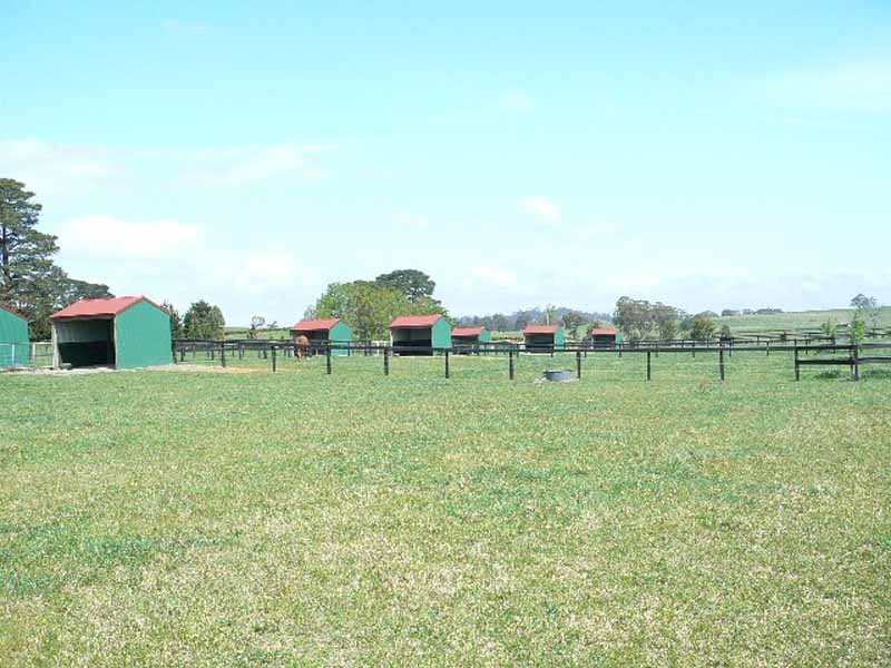 268 Yarrawa Road, Moss Vale NSW 2577