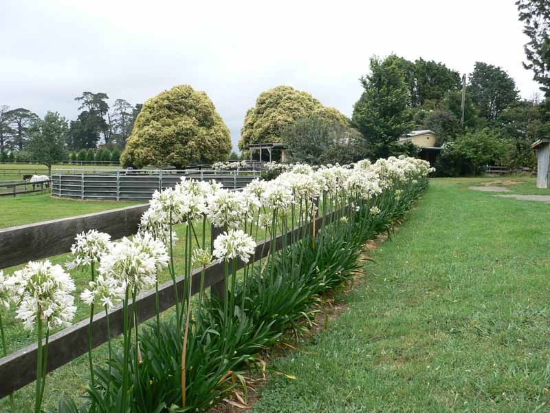 268 Yarrawa Road, Moss Vale NSW 2577