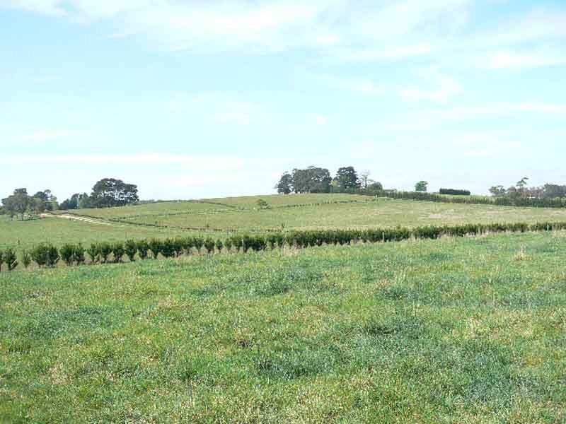 268 Yarrawa Road, Moss Vale NSW 2577