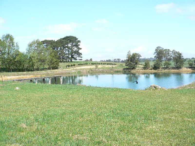 268 Yarrawa Road, Moss Vale NSW 2577