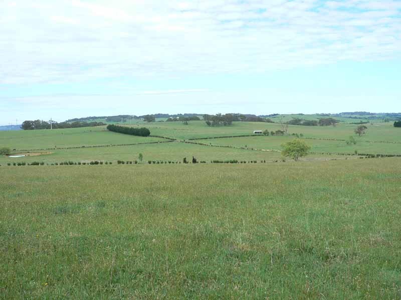 268 Yarrawa Road, Moss Vale NSW 2577