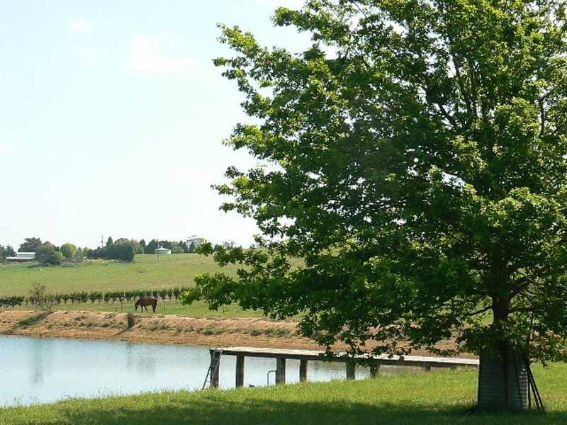 268 Yarrawa Road, Moss Vale NSW 2577