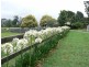 268 Yarrawa Road, Moss Vale NSW 2577