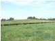 268 Yarrawa Road, Moss Vale NSW 2577