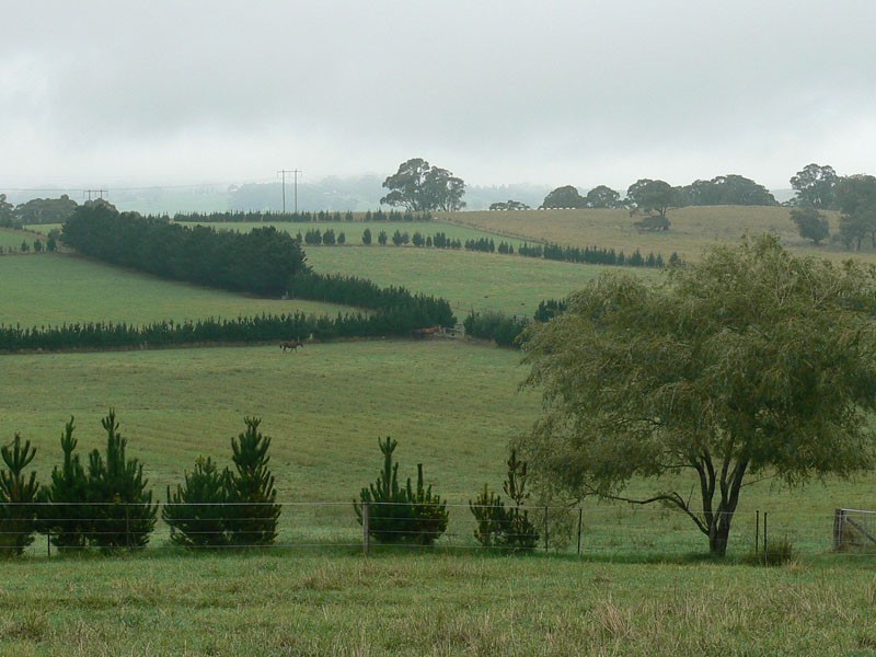 268 Yarrawa Road, Moss Vale NSW 2577