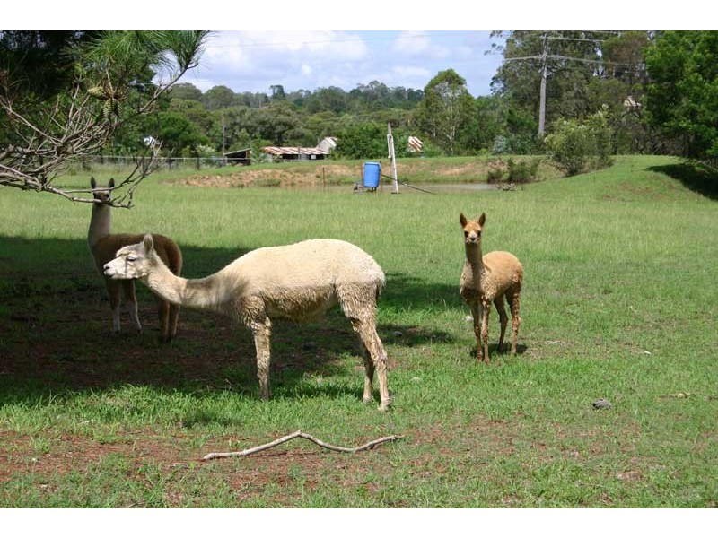 470 Silverdale Road, Orangeville NSW 2570