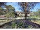 219 Donalds Range Road, Razorback NSW 2571