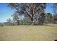 219 Donalds Range Road, Razorback NSW 2571