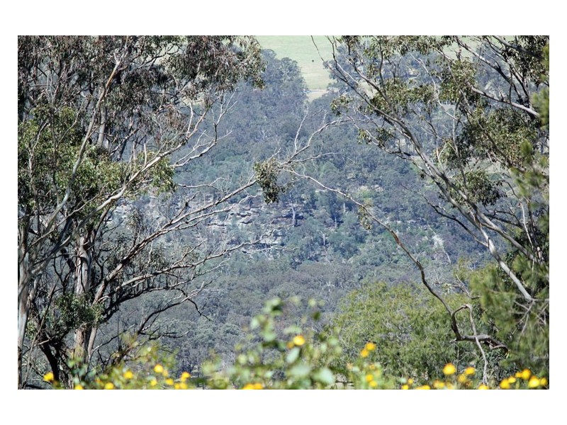 219 Donalds Range Road, Razorback NSW 2571