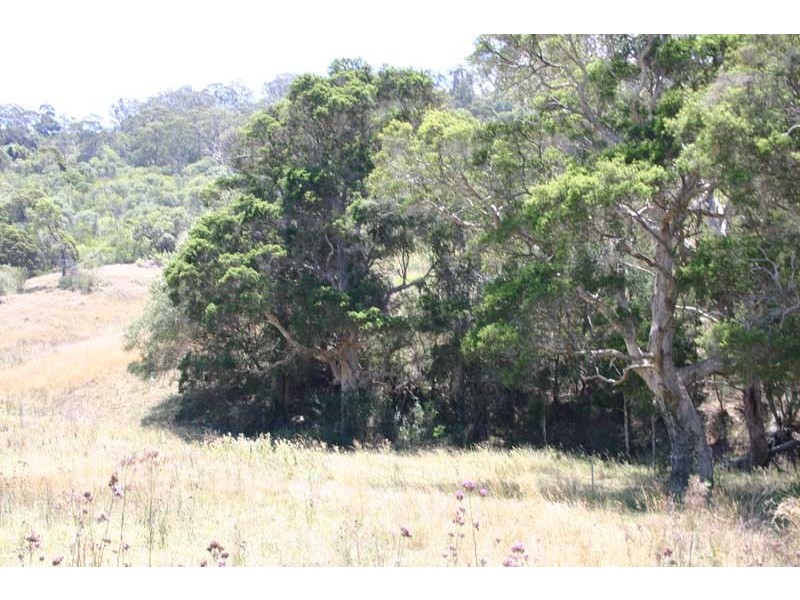 160 Cummins Road, Menangle NSW 2568