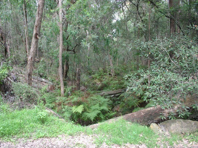 76 Halliday Road, Oakdale NSW 2570