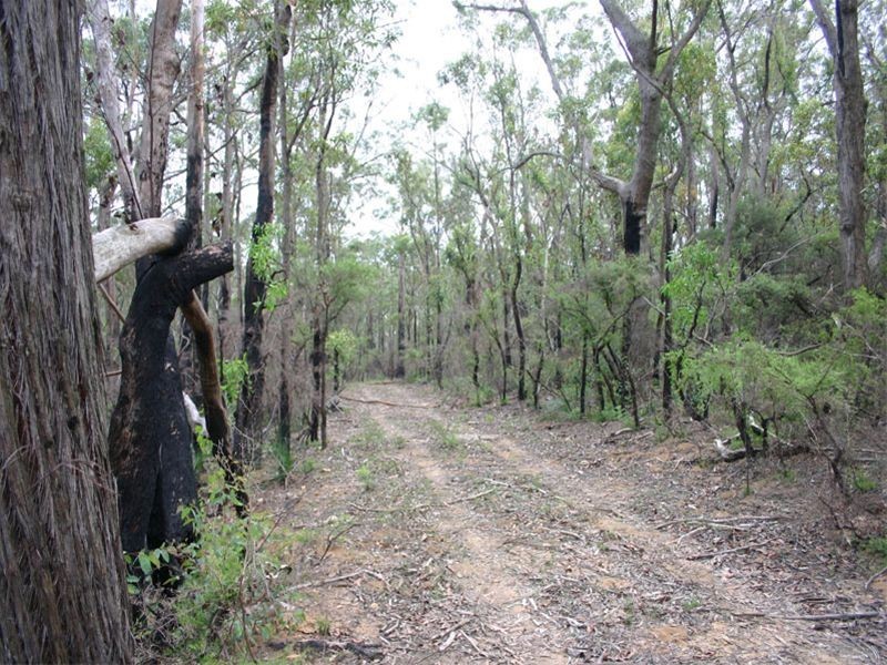 76 Halliday Road, Oakdale NSW 2570
