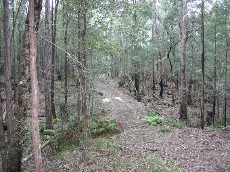76 Halliday Road, Oakdale NSW 2570