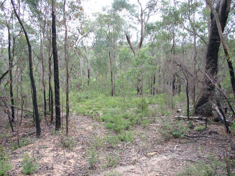 76 Halliday Road, Oakdale NSW 2570