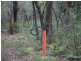 76 Halliday Road, Oakdale NSW 2570