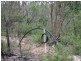 76 Halliday Road, Oakdale NSW 2570
