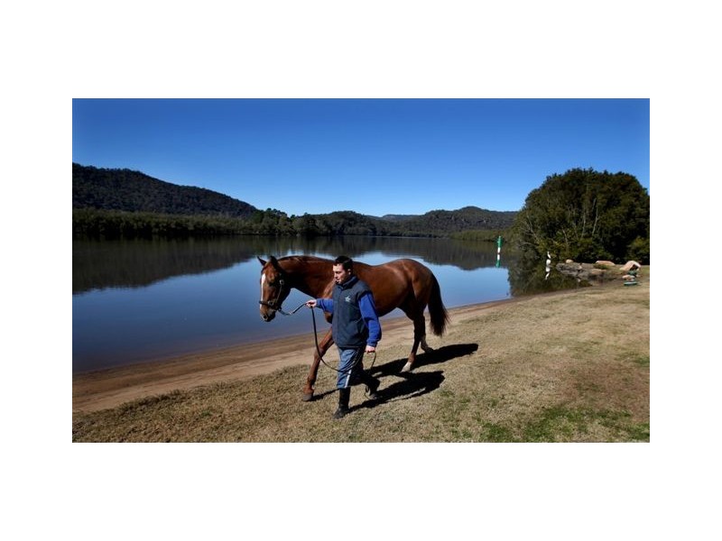 Muskoka Farm, 5738 Wisemans Ferry Road, Gunderman NSW 2775