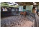 Muskoka Farm, 5738 Wisemans Ferry Road, Gunderman NSW 2775