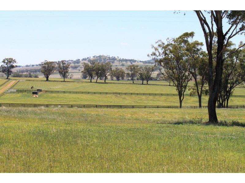 Willow Tree NSW 2339