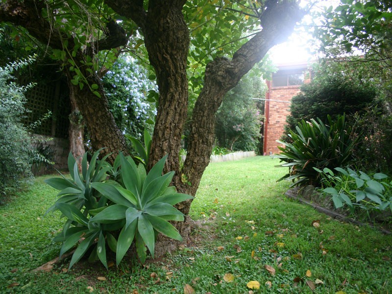 25 Old Hume Highway, Camden NSW 2570