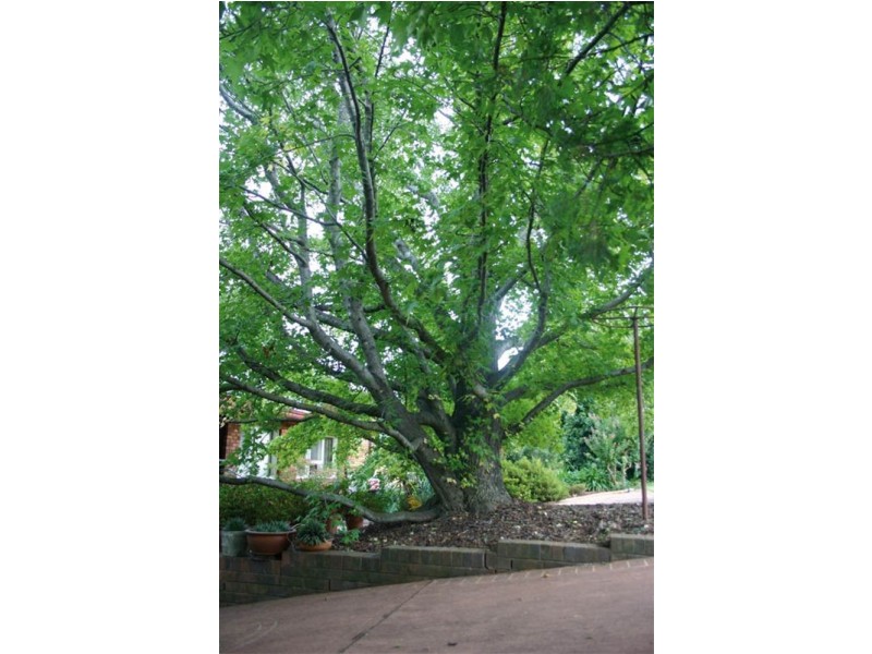 25 Old Hume Highway, Camden NSW 2570