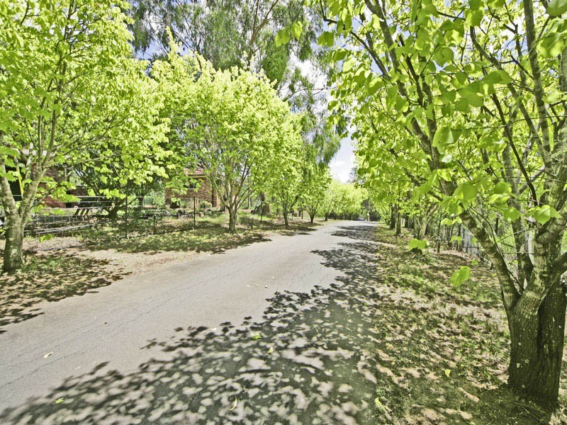 13 Centennial Lane, Ellis Lane NSW 2570