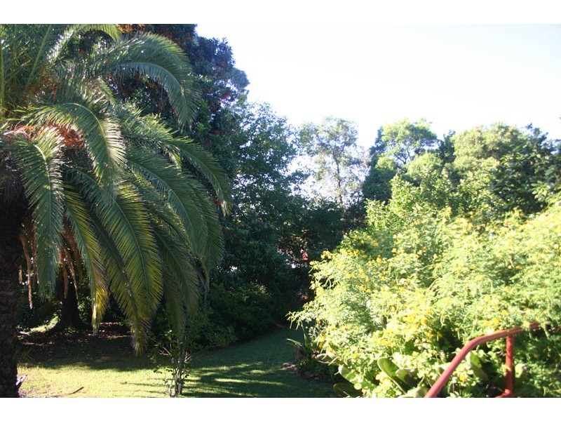 58 Menangle Road, Camden NSW 2570