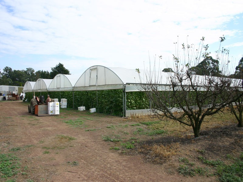 20 Edinburgh Road, Tahmoor NSW 2573