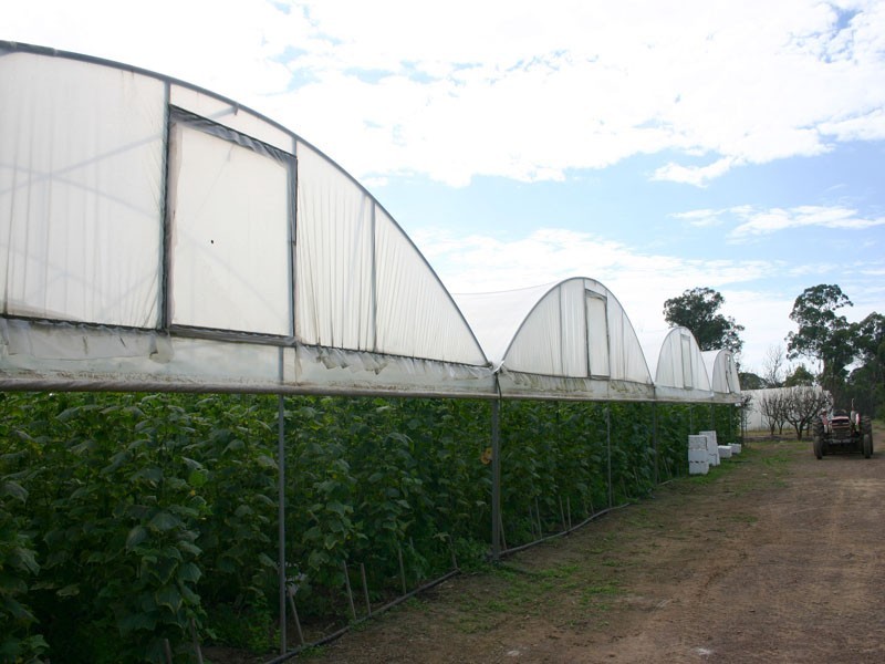 20 Edinburgh Road, Tahmoor NSW 2573