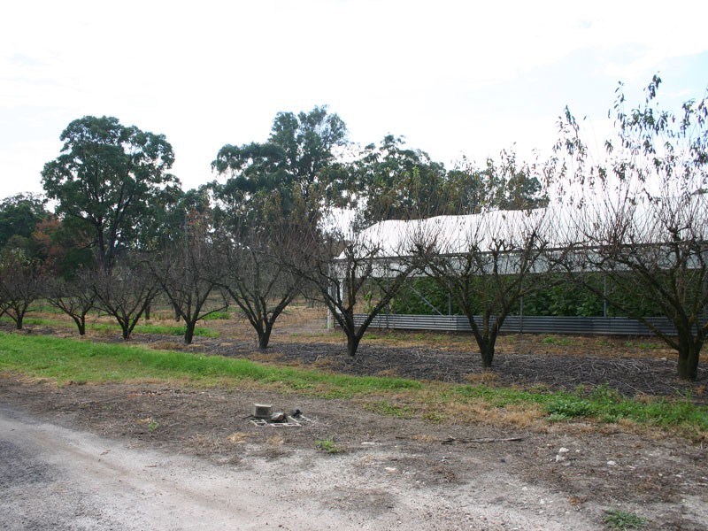 20 Edinburgh Road, Tahmoor NSW 2573