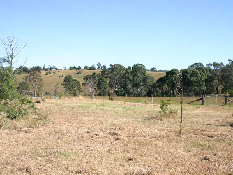 515 Bobs Range Road, Orangeville NSW 2570