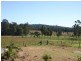 515 Bobs Range Road, Orangeville NSW 2570