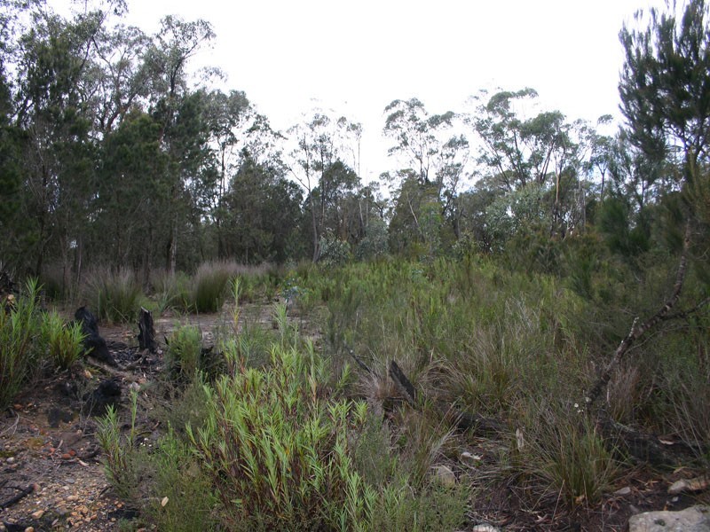 Goldfields Estate Cockatoo Close, Tallong NSW 2579