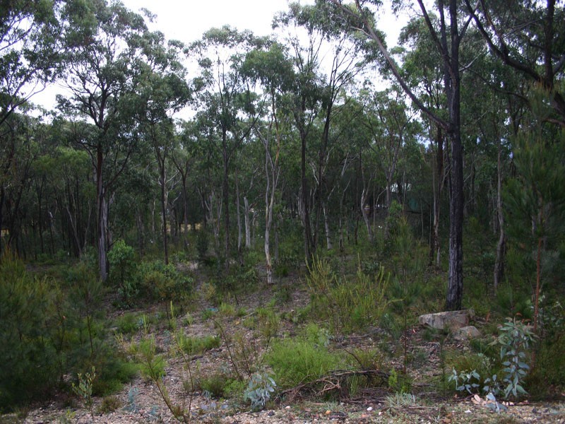 Goldfields Estate Cockatoo Close, Tallong NSW 2579