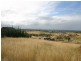 6 Domenics Place, Grasmere NSW 2570