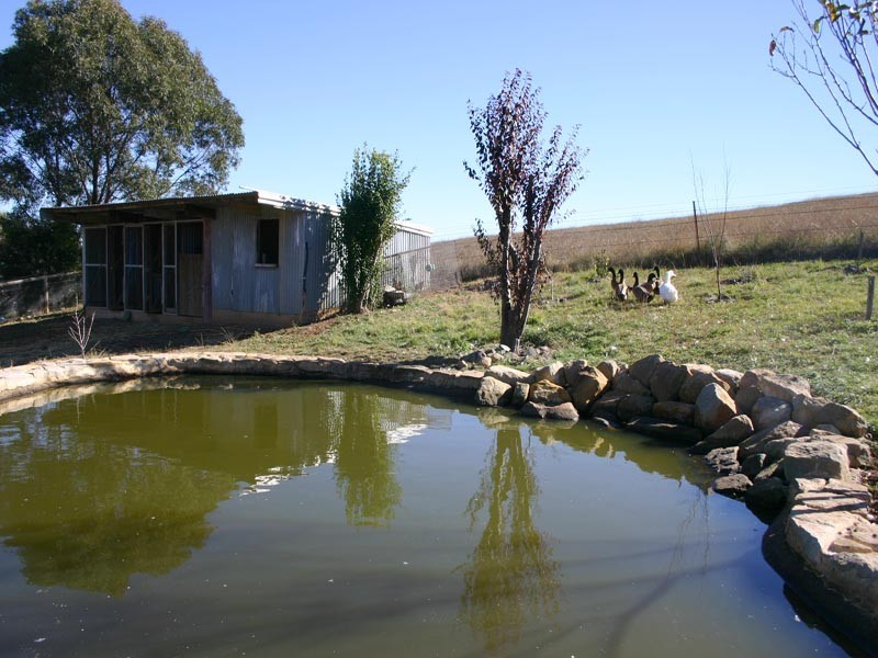 50 Wilton Park Road, Wilton NSW 2571