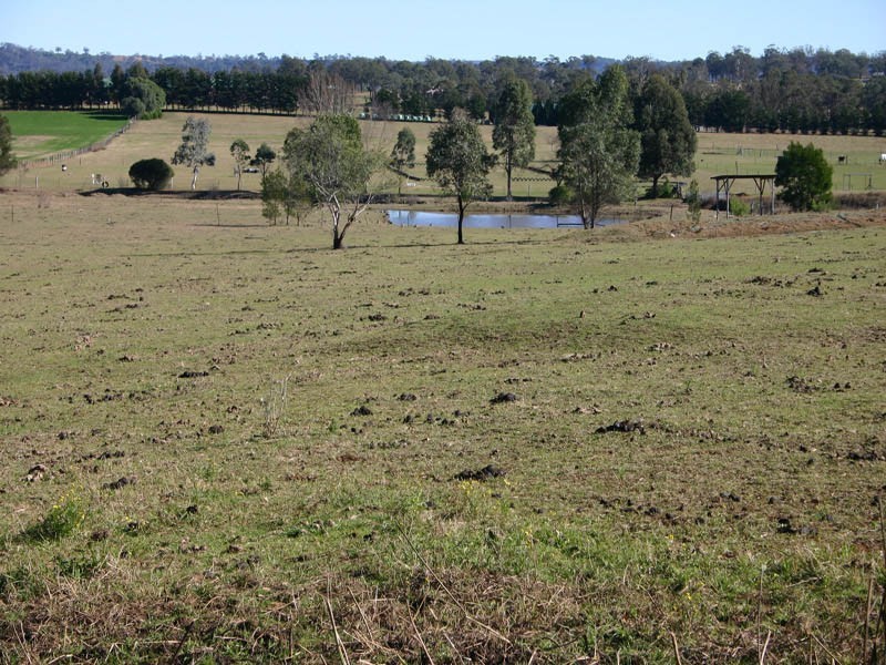 340 Cawdor Road, Cawdor NSW 2570