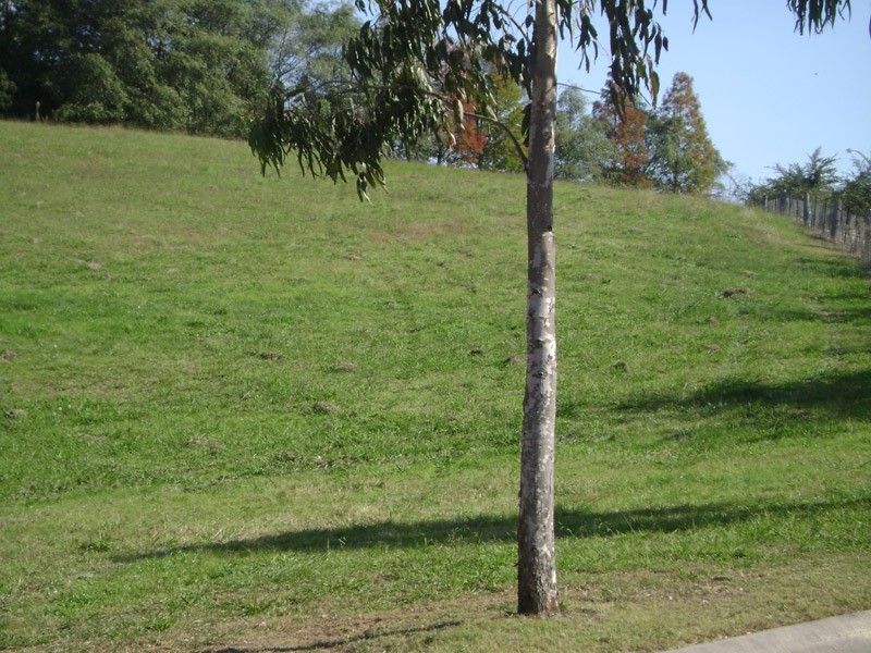 Lot 9 Yewens Circuit, Grasmere NSW 2570