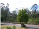 18  Eucalyptus Drive, Mount Annan NSW 2567