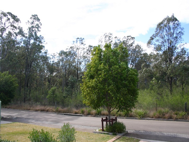 18  Eucalyptus Drive, Mount Annan NSW 2567