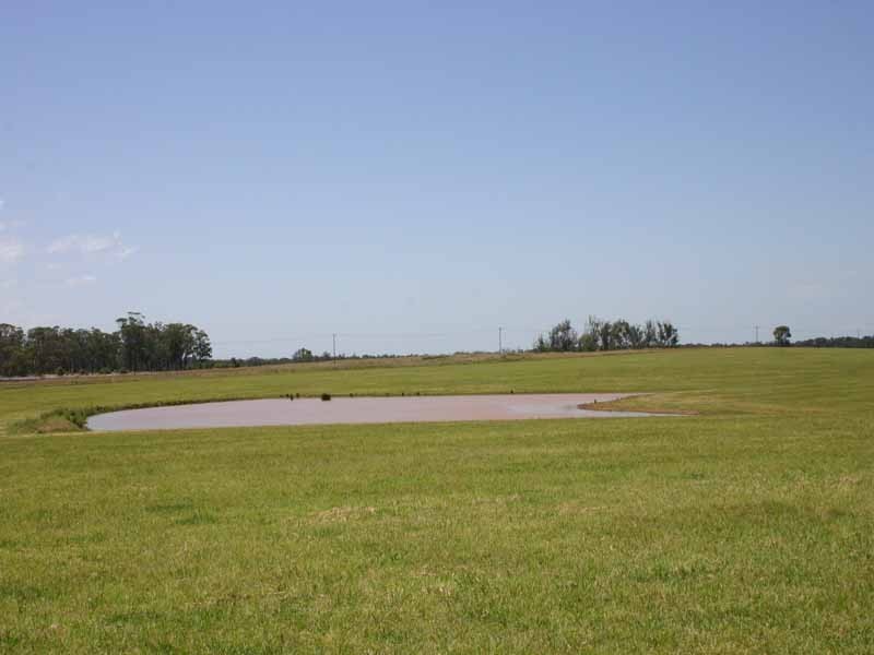 203 Gates Road, Luddenham NSW 2745