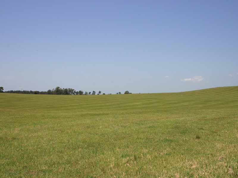 203 Gates Road, Luddenham NSW 2745