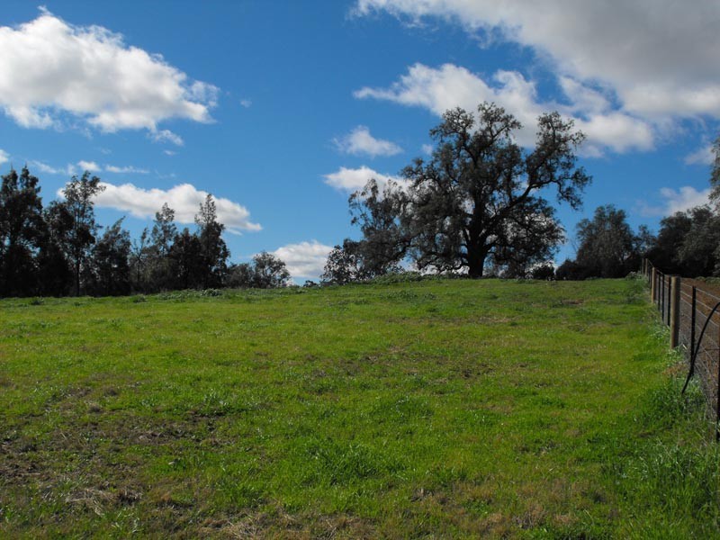 Lot 353 Benwerrin Crecsent, Grasmere NSW 2570