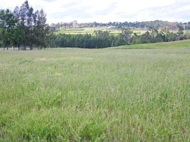 308 Sunnyside Drive, Ellis Lane NSW 2570