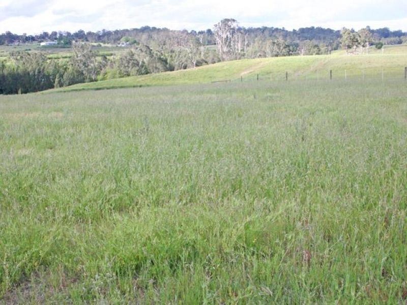 308 Sunnyside Drive, Ellis Lane NSW 2570