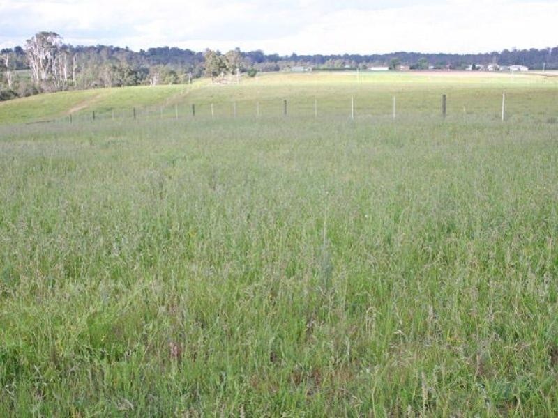 308 Sunnyside Drive, Ellis Lane NSW 2570