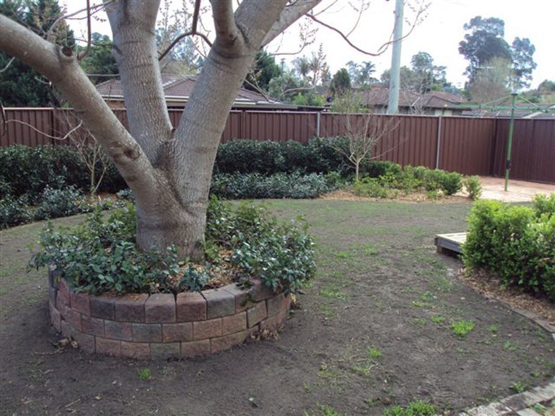 10 Wentworth Drive, Camden NSW 2570