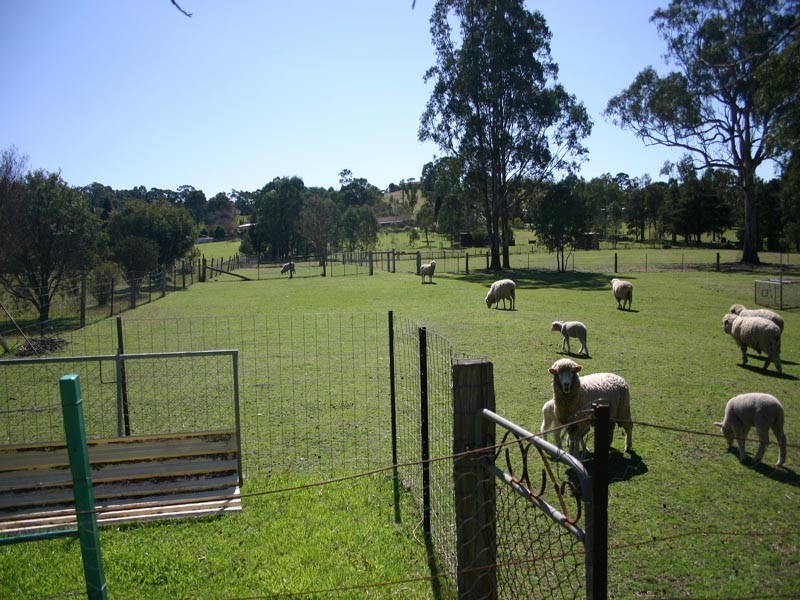 70 Nepean Street, Douglas Park NSW 2569
